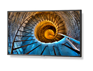 技术与品质至上 NEC全新P系列高端显示器刷新行业标准