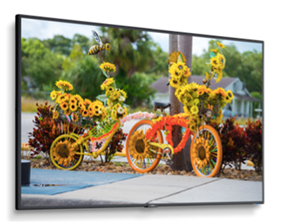 物超所值!NEC C系列工程液晶显示器实力圈粉