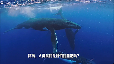 “鲸碳之歌”公布获奖！对白及短视频改编竞赛近千人参与