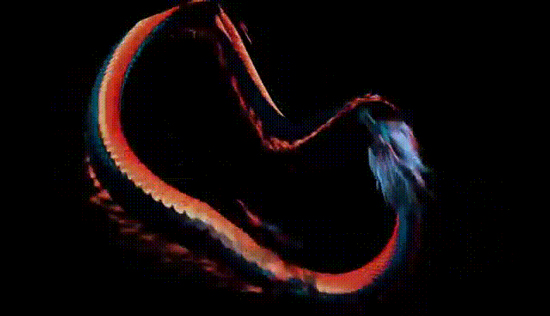 单日游客量从1万到10万，洲明科技LED光显科技揭秘景区蝶变背后的光显力量