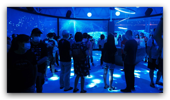 科视Christie以先进放映解决方案照亮戛纳电影节