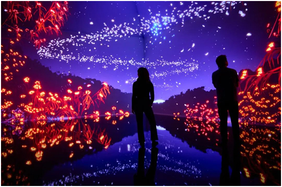 Tyama：墨尔本博物馆令人叹为观止的沉浸式光影盛宴
